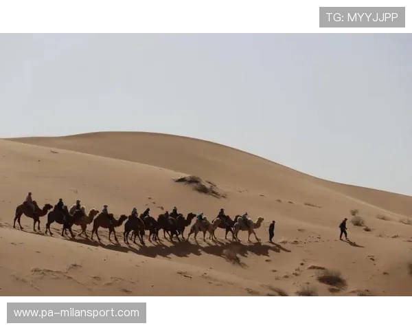 “穿越荒漠：金色大沙丘的极速战场”，2020穿越沙漠